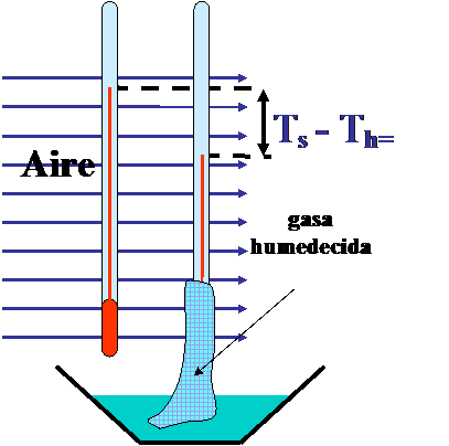 Temperatura húmeda o de bulbo húmedo